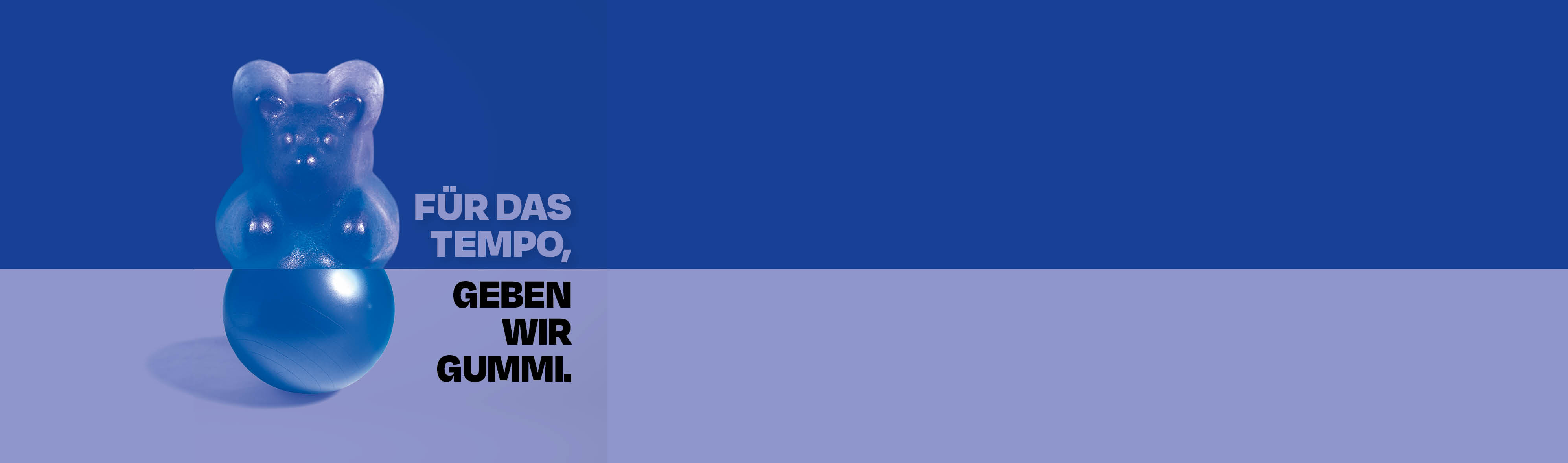 Chauffeur Kat. C (m/w/d)